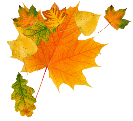 Autumn Png Clipart PNG Image