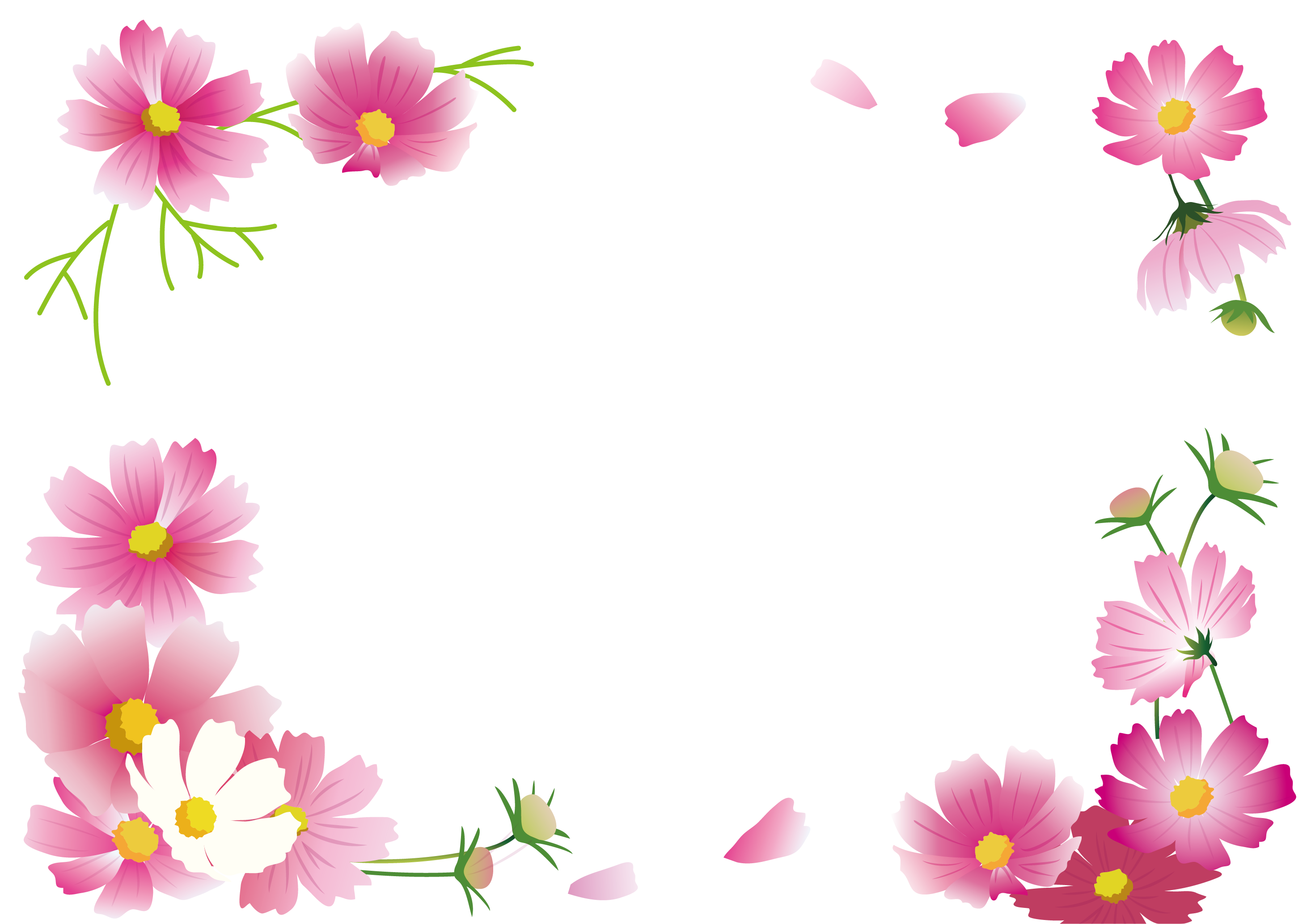 Flower Frame Autumn Others Cosmos Png.Png PNG Image