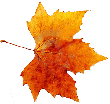 Autumn Png Picture PNG Image