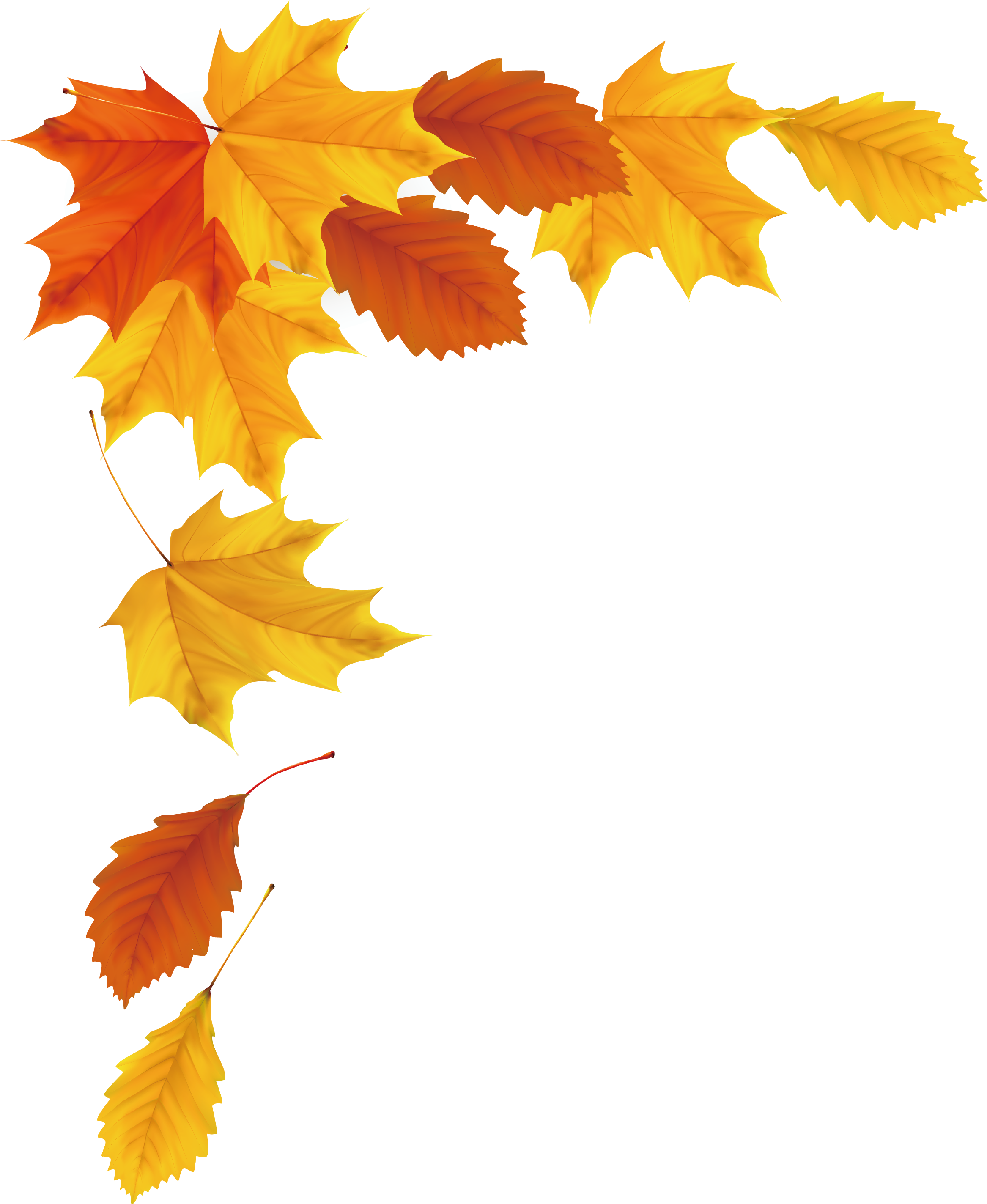 Autumn Falling Vector Leaf Free Transparent Image HQ PNG Image