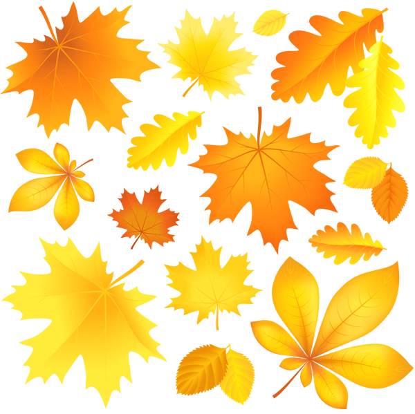 Autumn Falling Vector Leaf Pic PNG Image