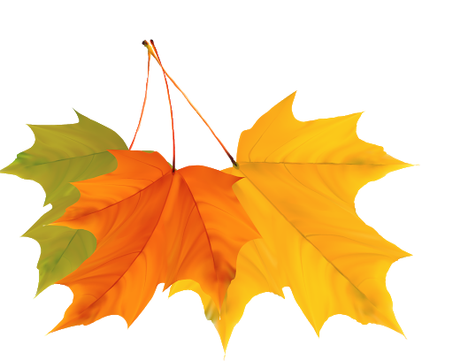 Autumn Vector Leaf Free Transparent Image HQ PNG Image