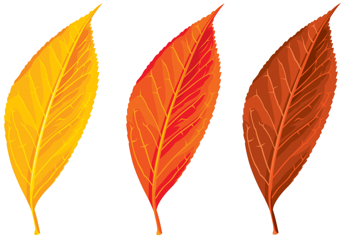 Autumn Vector Leaf Free PNG HQ PNG Image