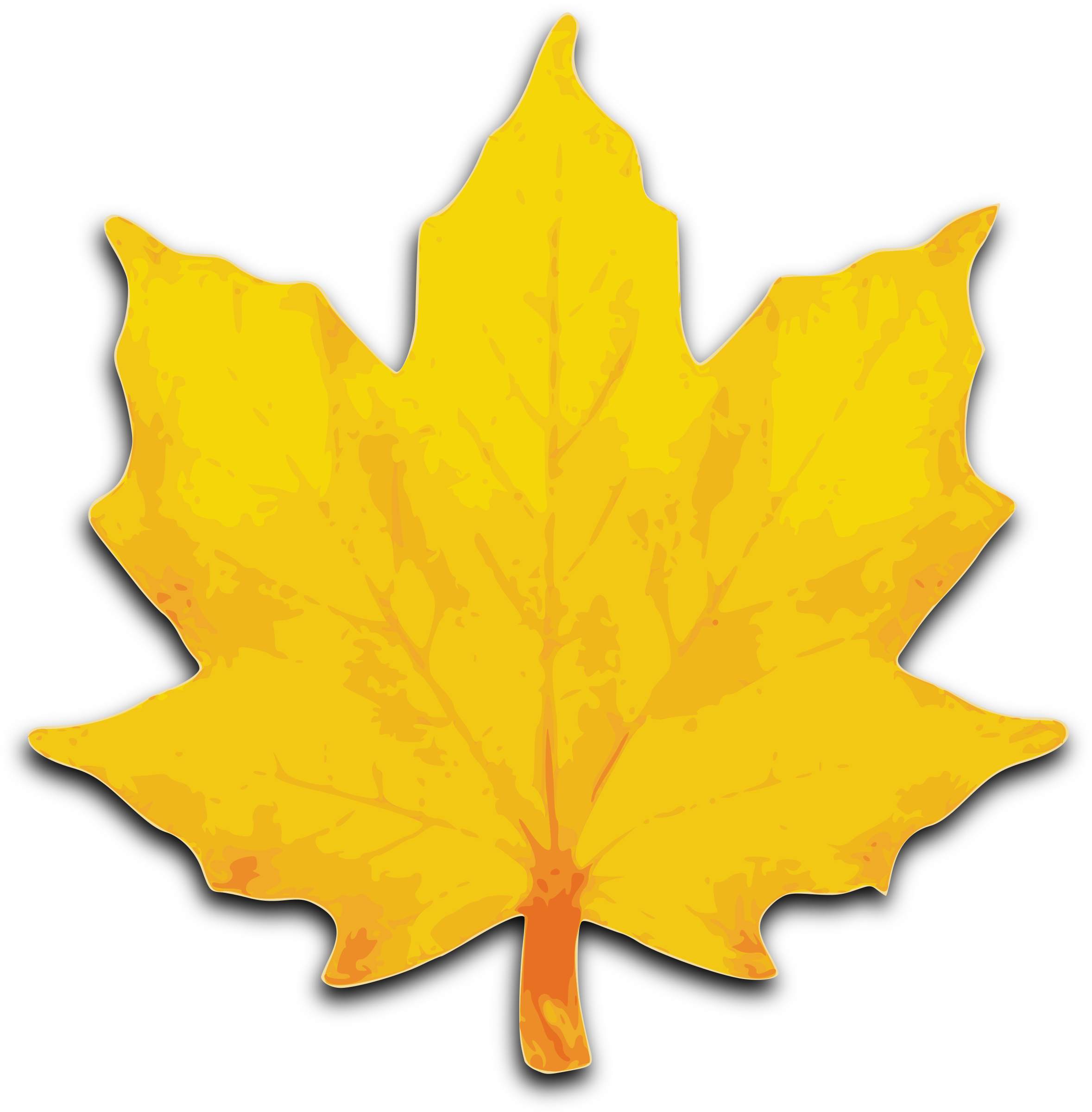 Autumn Picture Vector Leaf Free Photo PNG Image