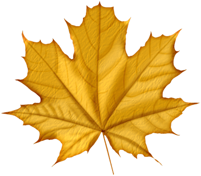 Maple Png Leaf PNG Image