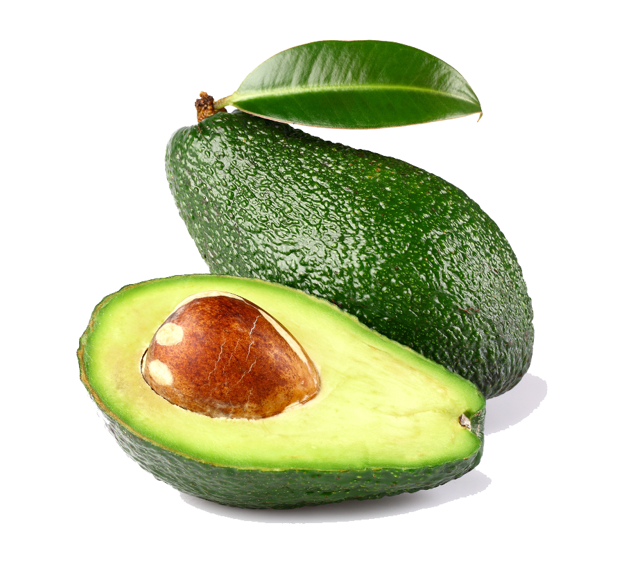 Avocado Png PNG Image