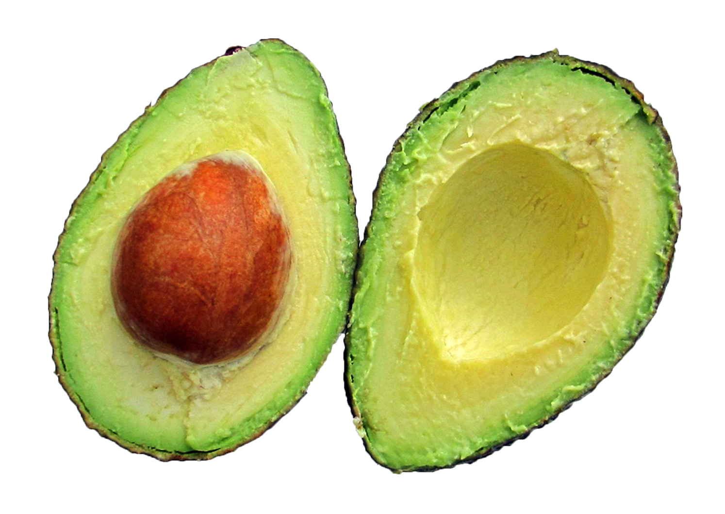 Avocado Half PNG Download Free PNG Image