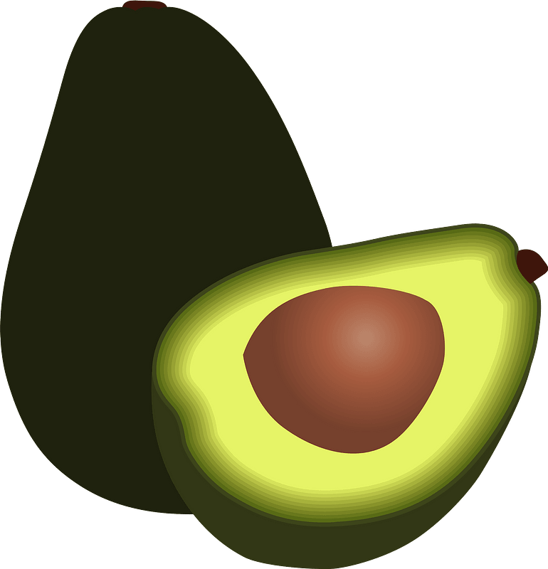 Picture Vector Avocado Download HQ PNG Image