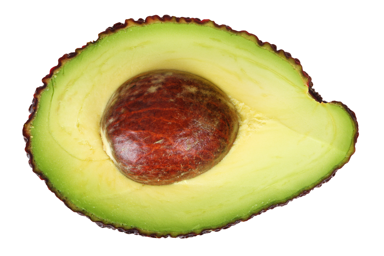 Avocado PNG Free Photo PNG Image