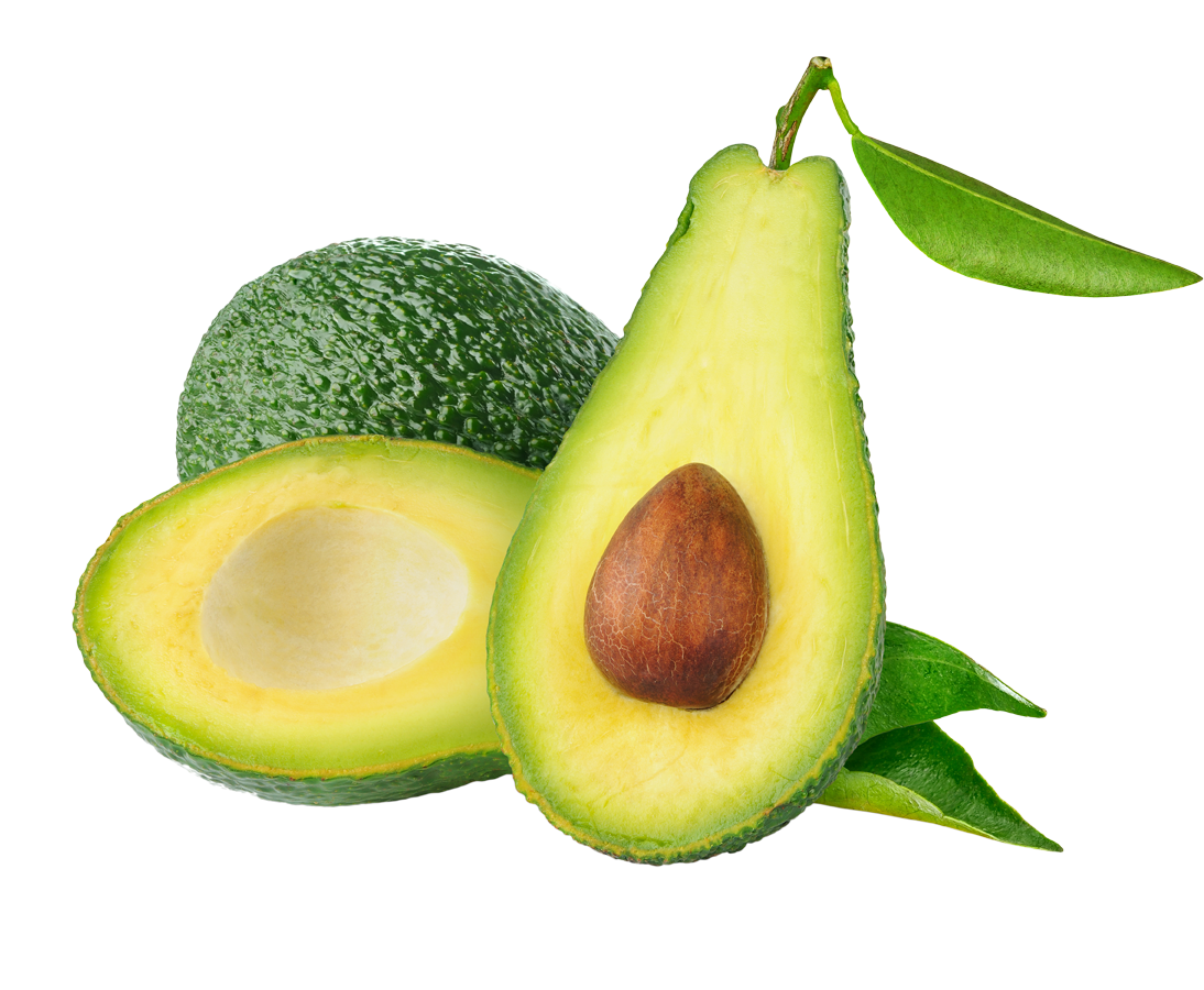 Avocado PNG Download Free PNG Image