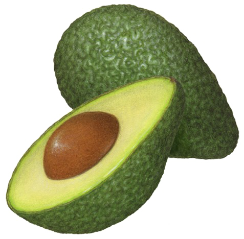 Half Avocado Free Download PNG HQ PNG Image