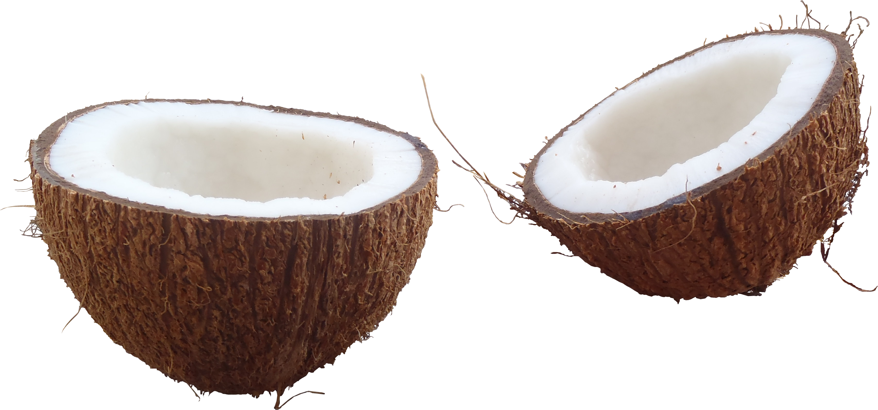 Half Coconut Image Download Free Image PNG Image
