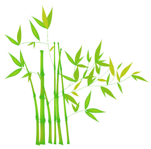 Bamboo Transparent PNG Image