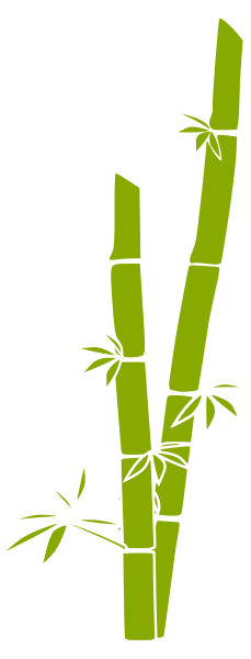 Bamboo Transparent PNG Image