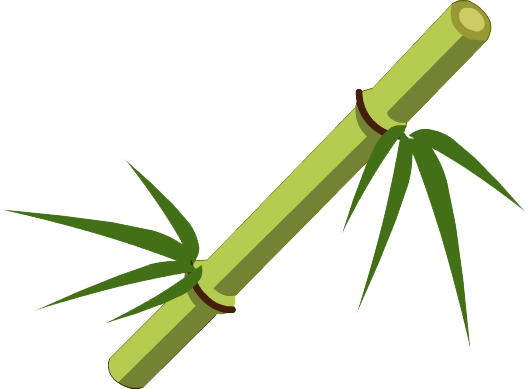 Bamboo Stick Transparent Image PNG Image