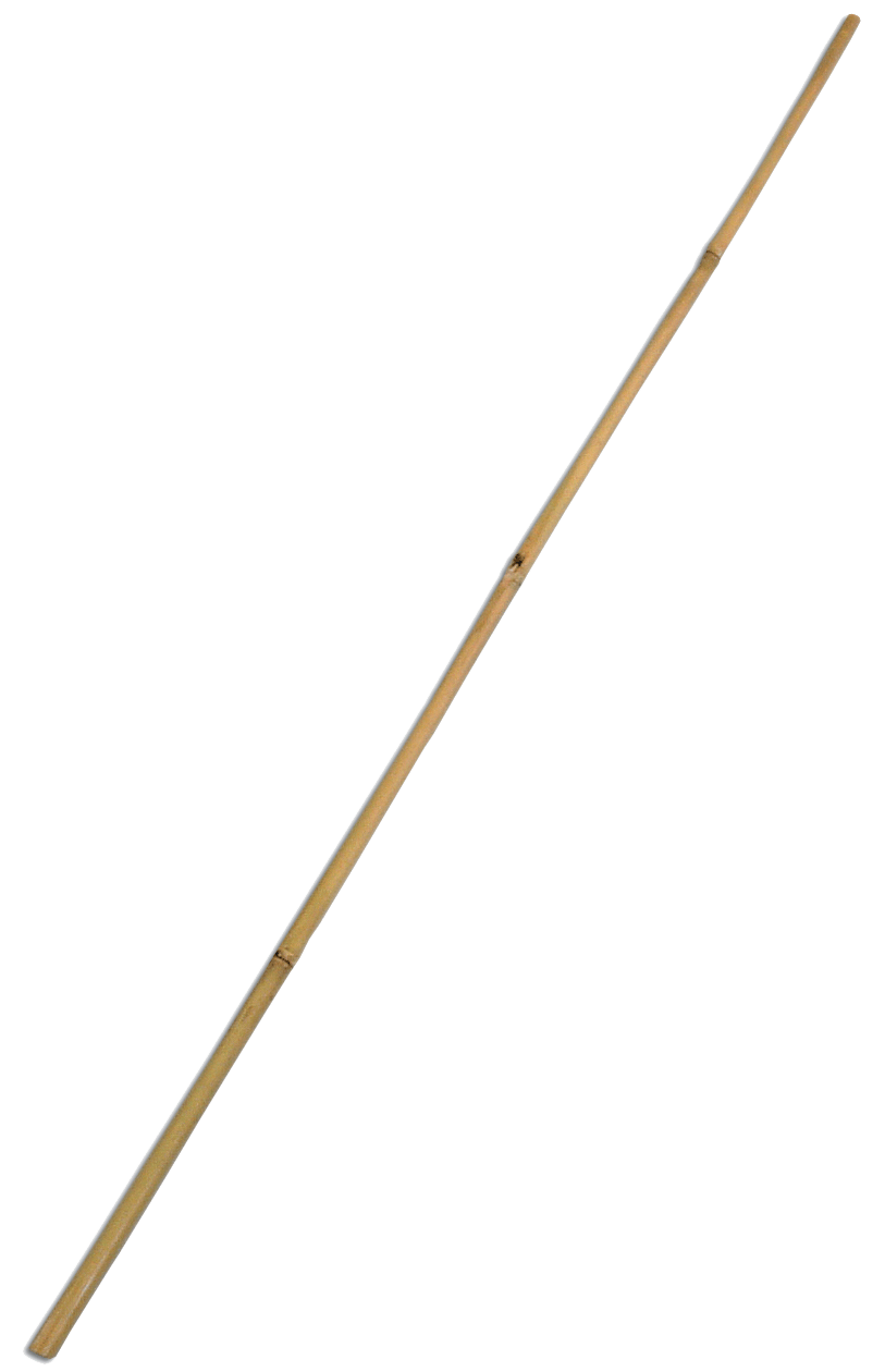Bamboo Stick Picture PNG Image