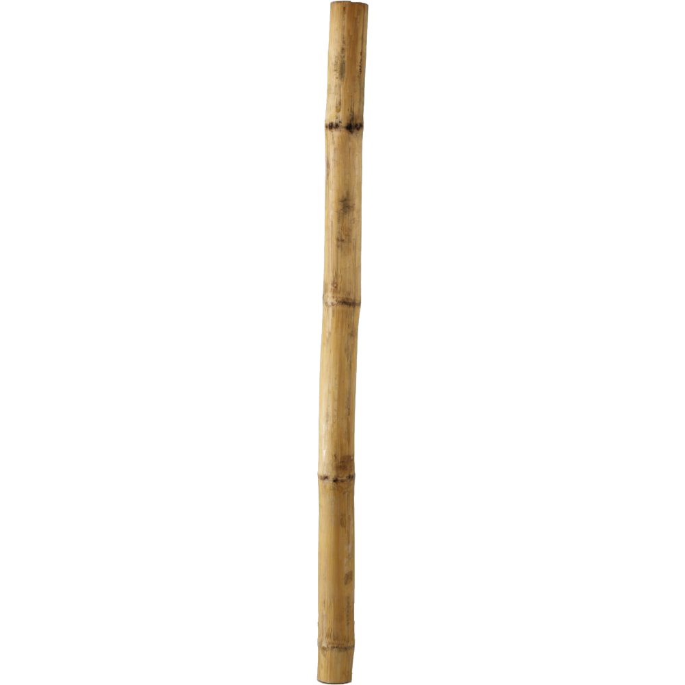 Bamboo Stick PNG Image