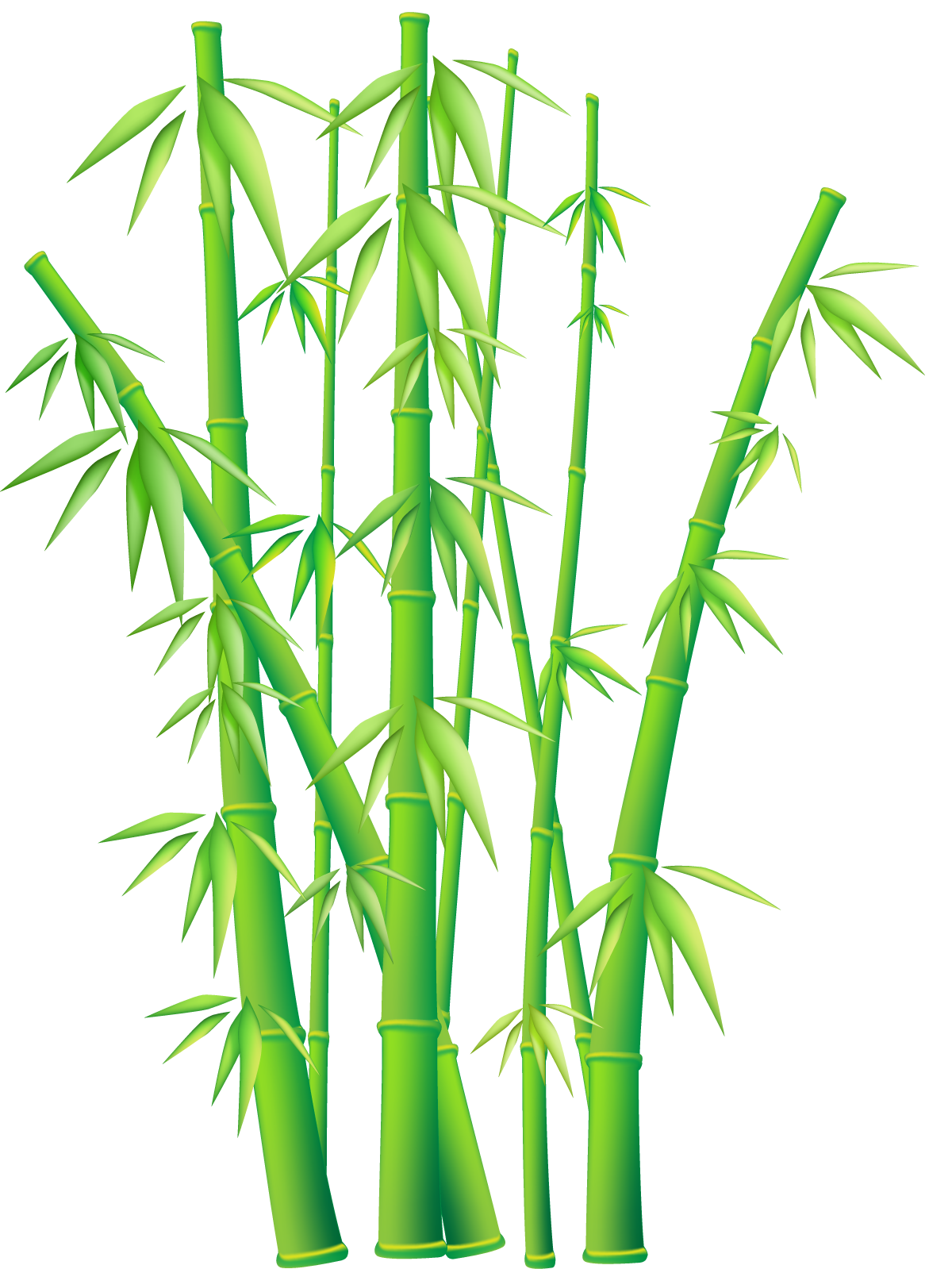 Bamboo Png File PNG Image