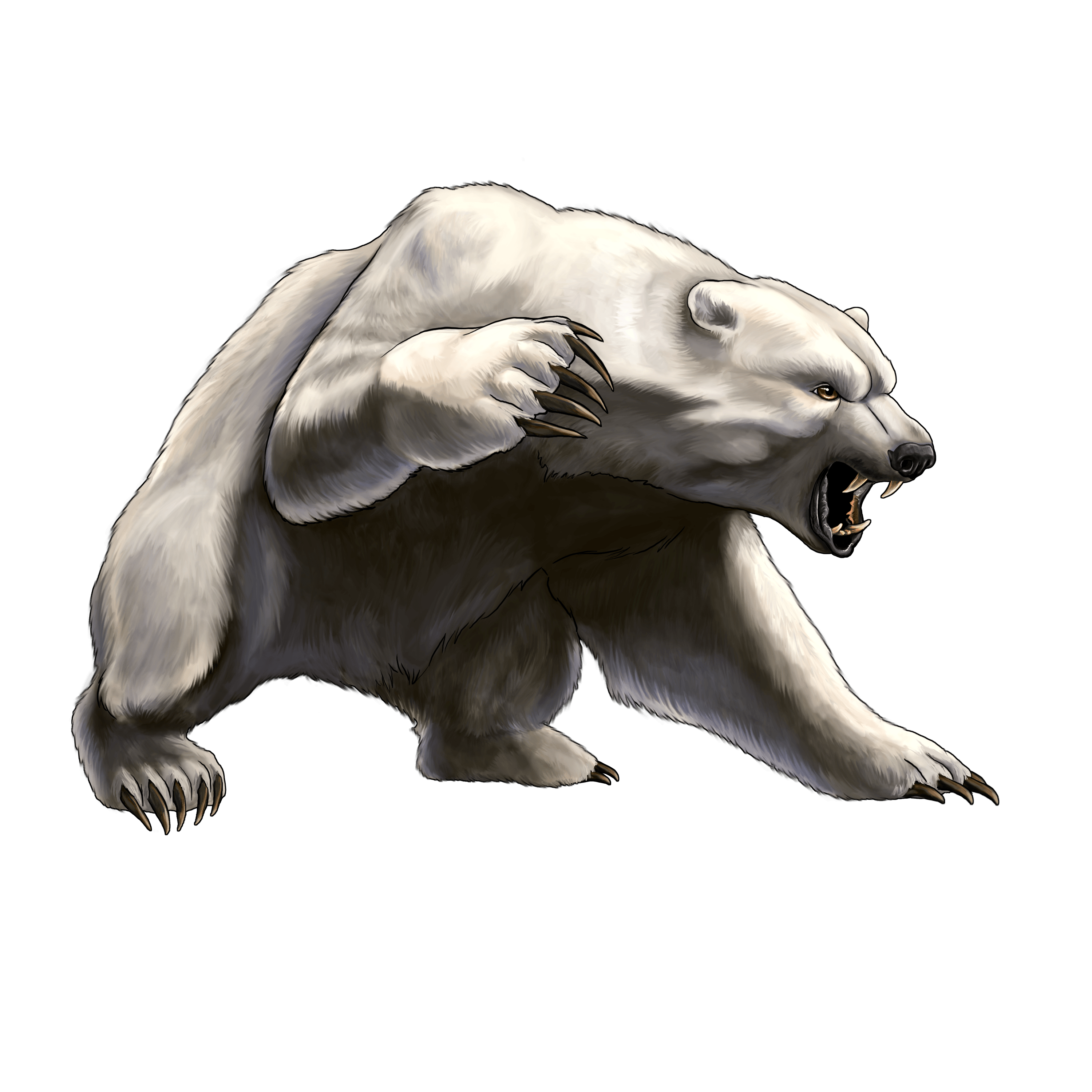 White Angry Bear Png Image PNG Image