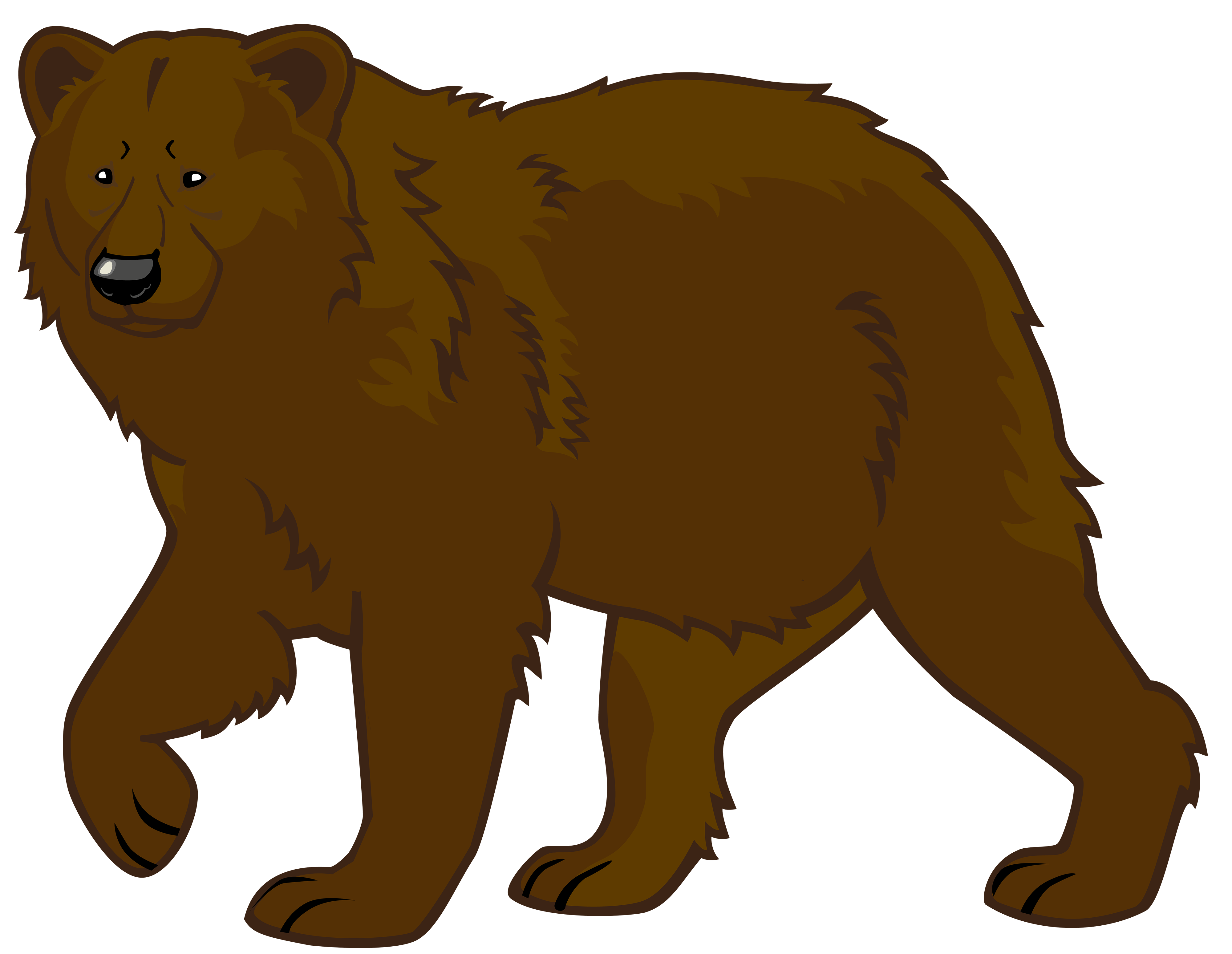 Bear Png 10 PNG Image