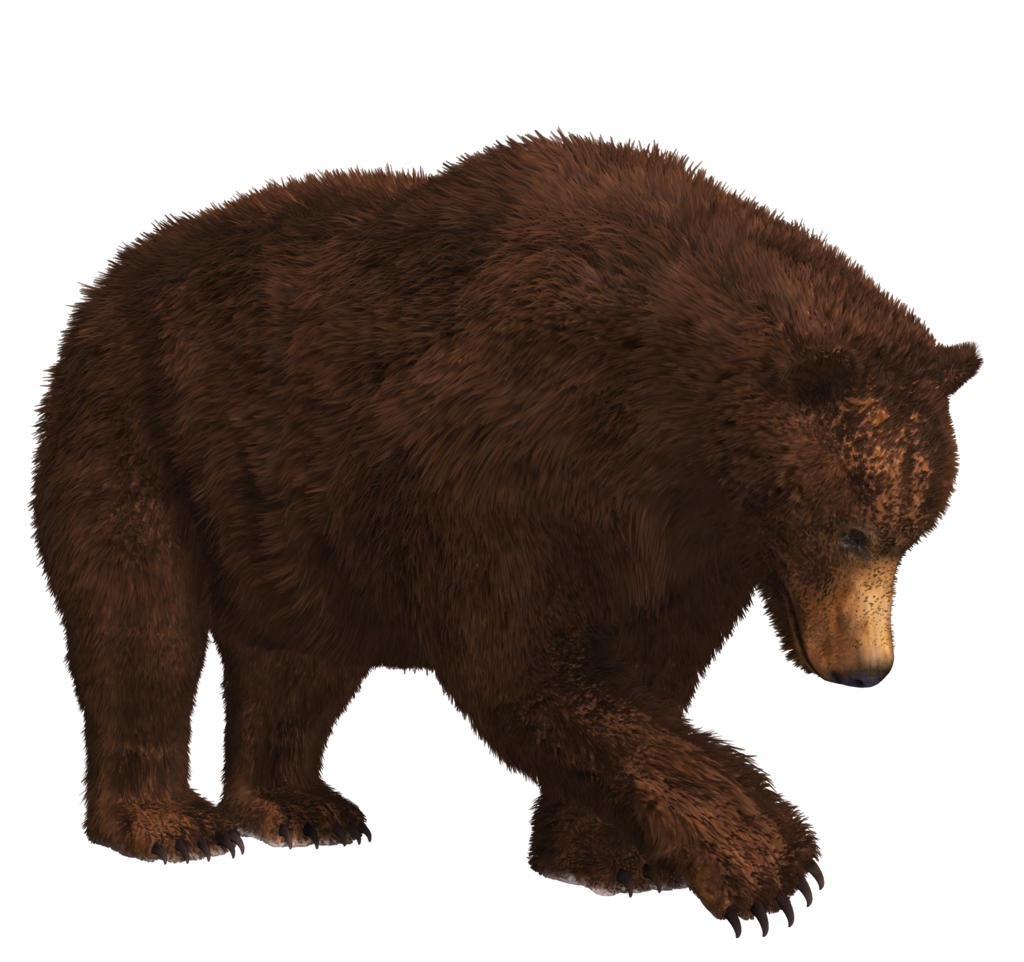 Claw Bear Download HQ PNG Image