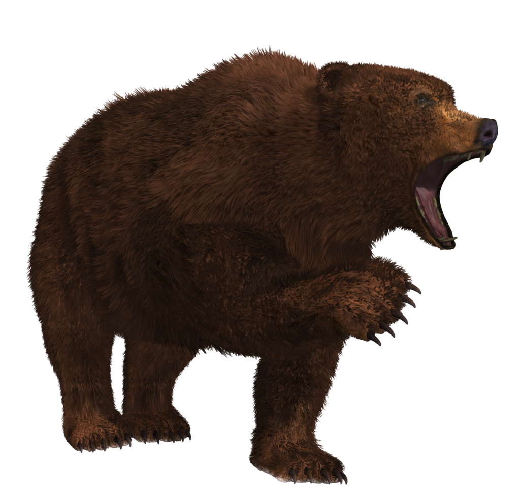 Bear Crawling PNG File HD PNG Image