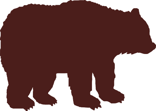 Vector Bear Free PNG HQ PNG Image