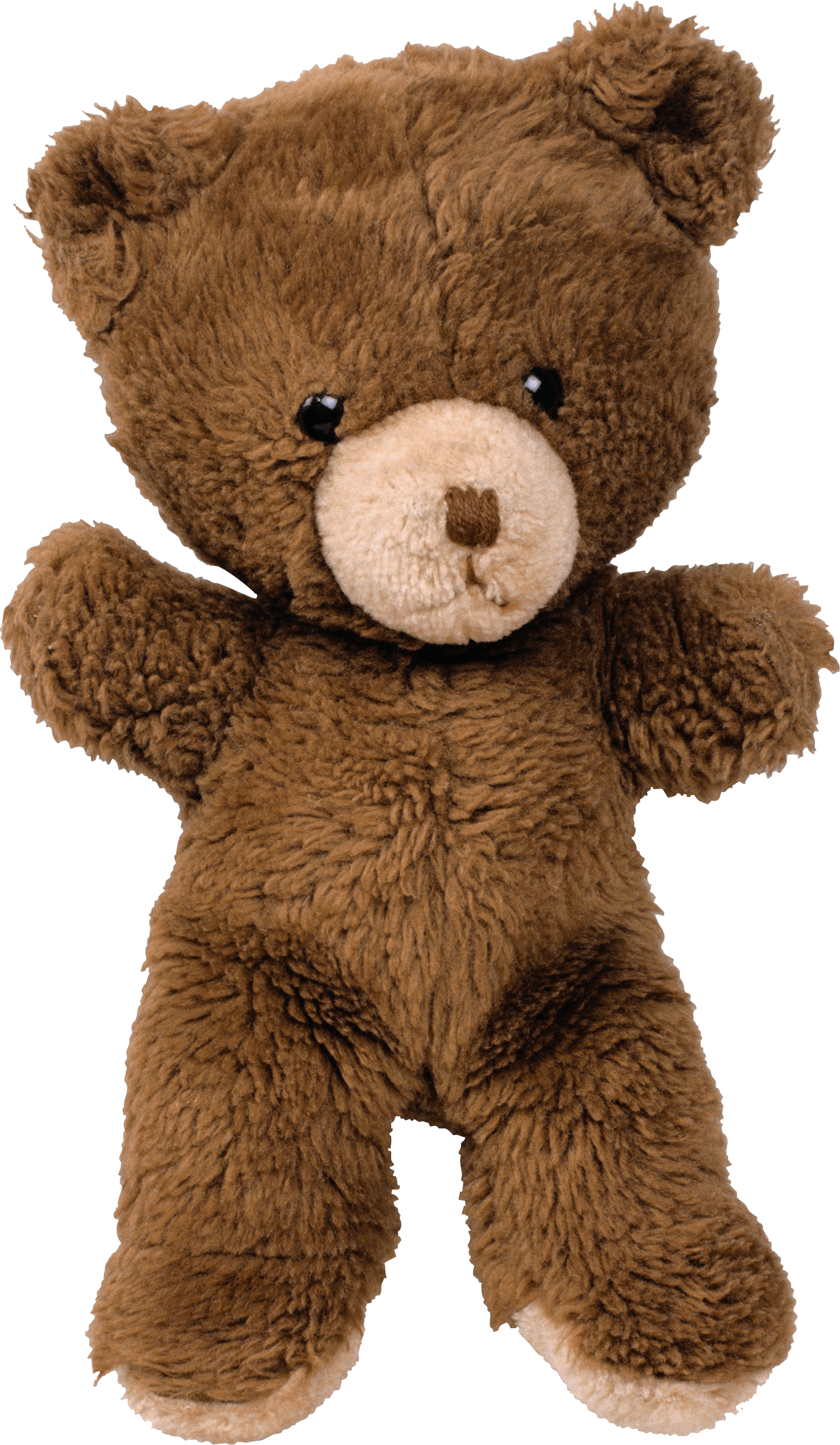 Toy Bear Png Image PNG Image