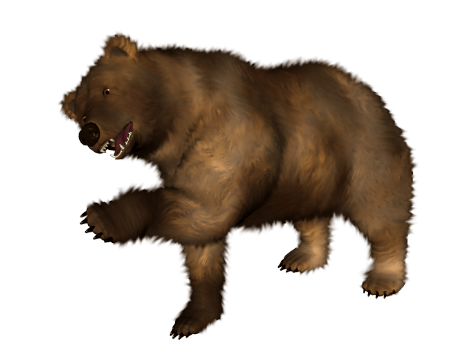 Brown Bear Png Image PNG Image