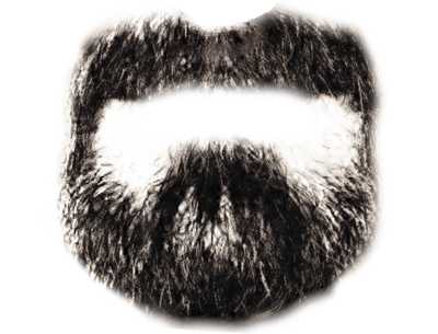 Beard Png Image PNG Image