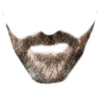 Download Beard Clipart Hq Png Image Freepngimg