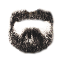 Download Beard Free PNG photo images and clipart | FreePNGImg