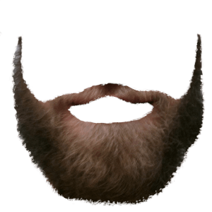 Beard Png Image PNG Image