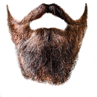 Download Beard Free Png Photo Images And Clipart Freepngimg