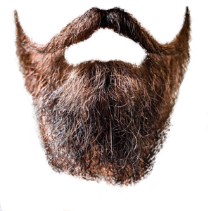 Beard Png 4 PNG Image