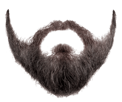 Beard Png Image PNG Image