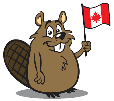 Beaver Free Download PNG Image