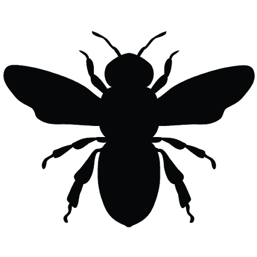 Honey Vector Bee PNG Download Free PNG Image