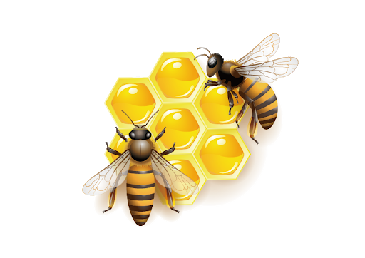 Honey Vector Bee HD Image Free PNG Image