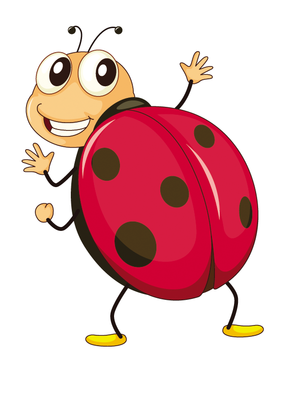 Butterfly Ladybird Insect Fruit Cartoon HD Image Free PNG PNG Image