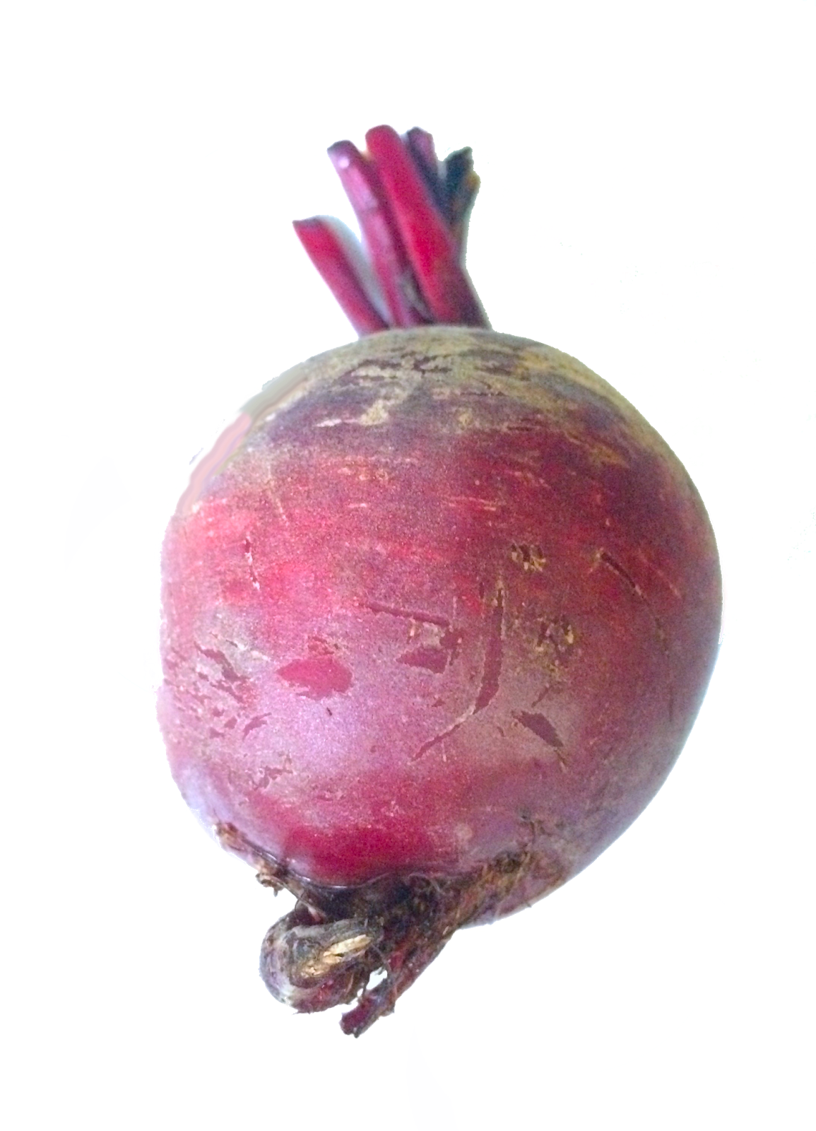 Beetroot Red Free Clipart HQ PNG Image
