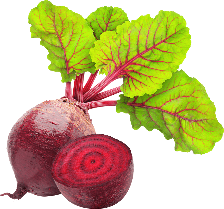 Beetroot Sliced Leaves PNG Image High Quality PNG Image