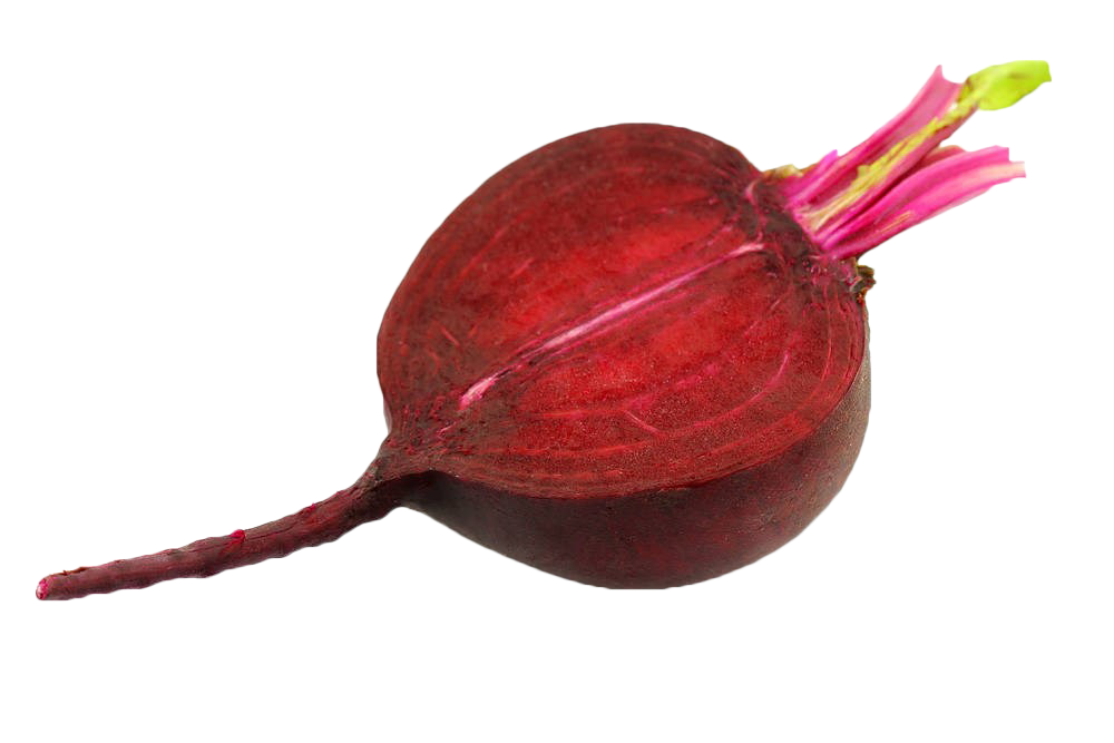 Beetroot Sliced Single HQ Image Free PNG Image