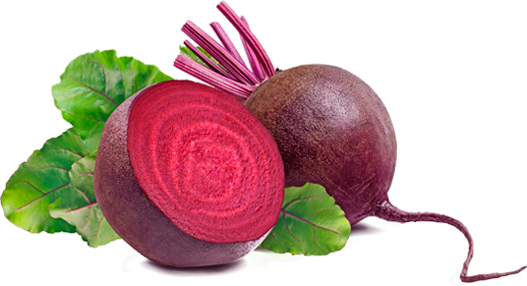 Vegetable Beetroot PNG Image High Quality PNG Image