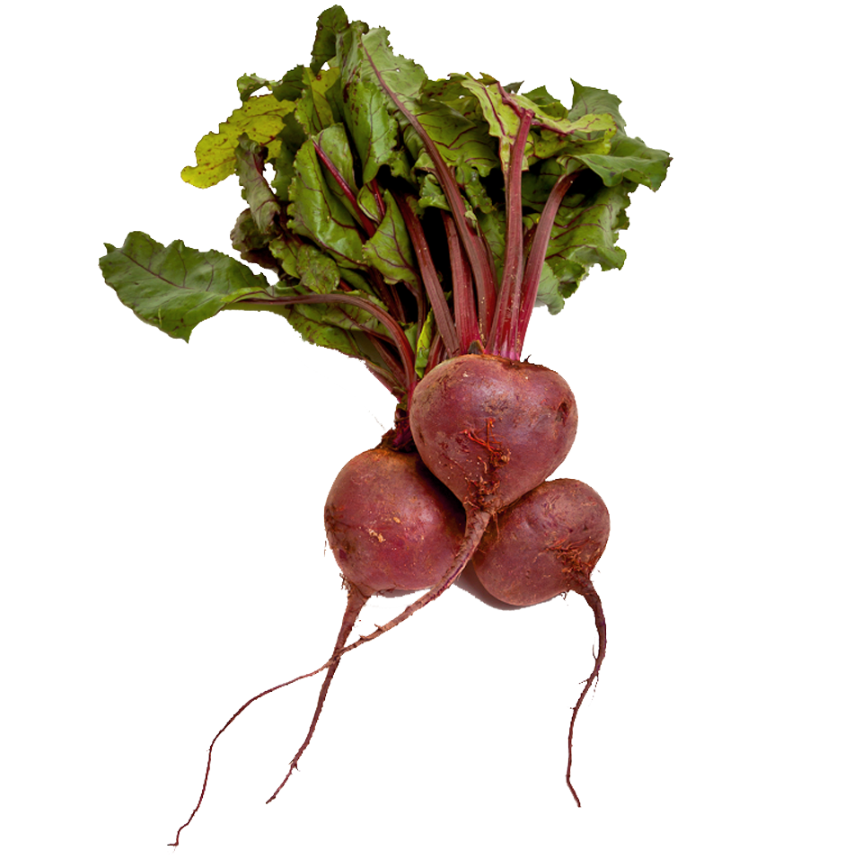 Beetroot Fresh Vegetable Free Download PNG HD PNG Image