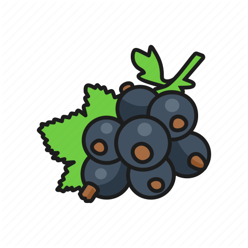 Currant Berries Black PNG Download Free PNG Image