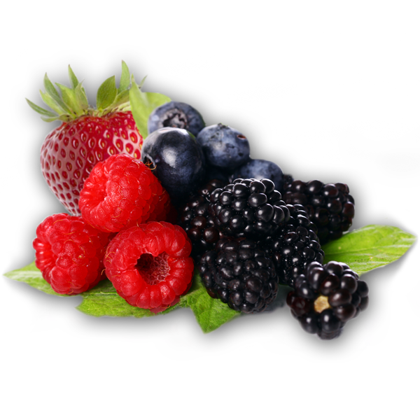 Download Berries Clipart HQ PNG Image | FreePNGImg