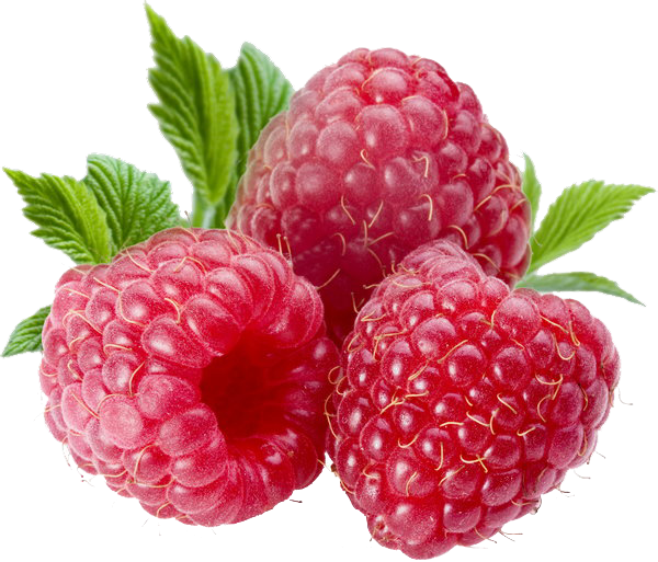 Berries File PNG Image