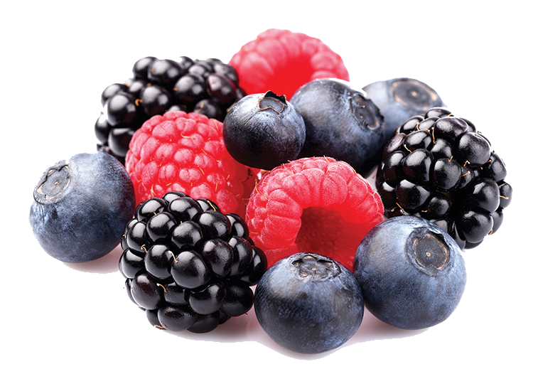 Berries PNG Image