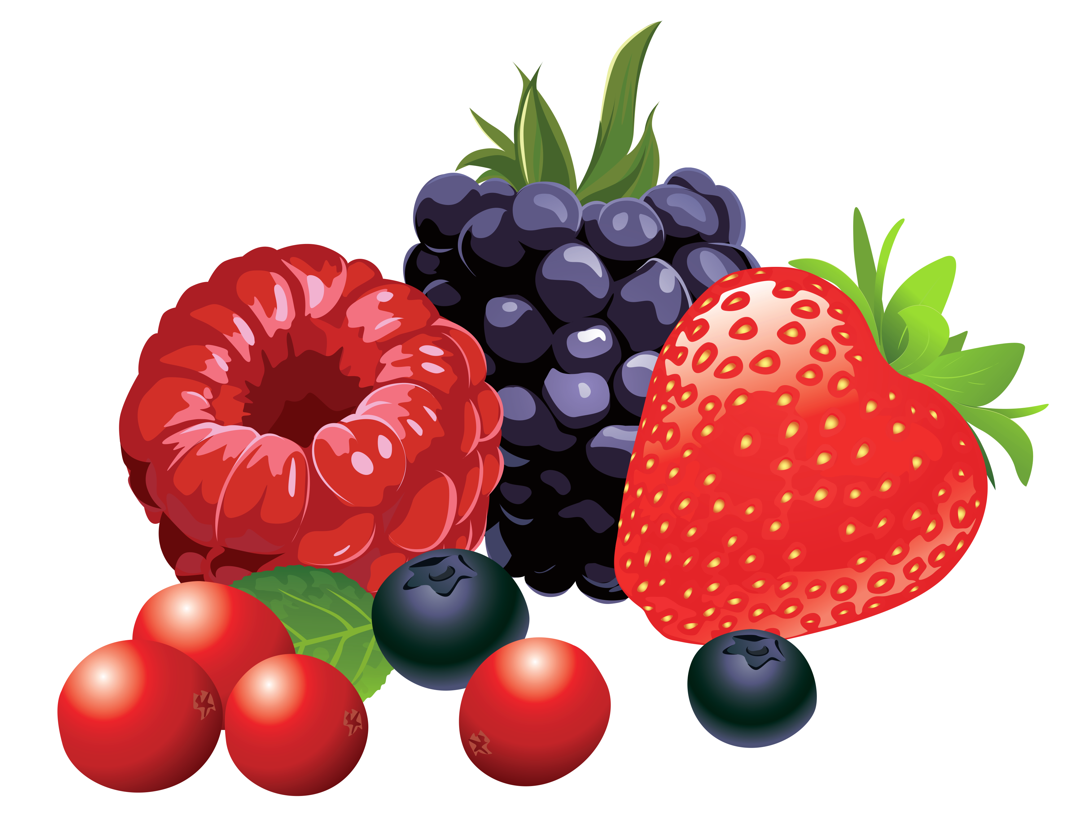 Mix Berry Free Photo PNG Image